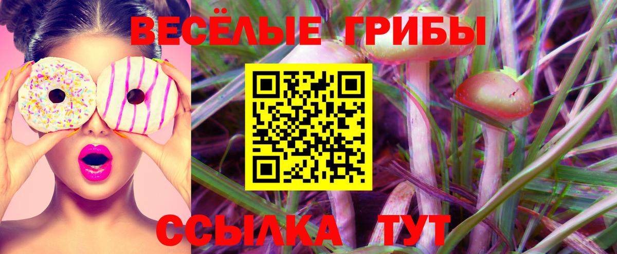 Родники  Галлюциногенные грибы Psilocybine cubensis  наркошоп  Вход с VPN 